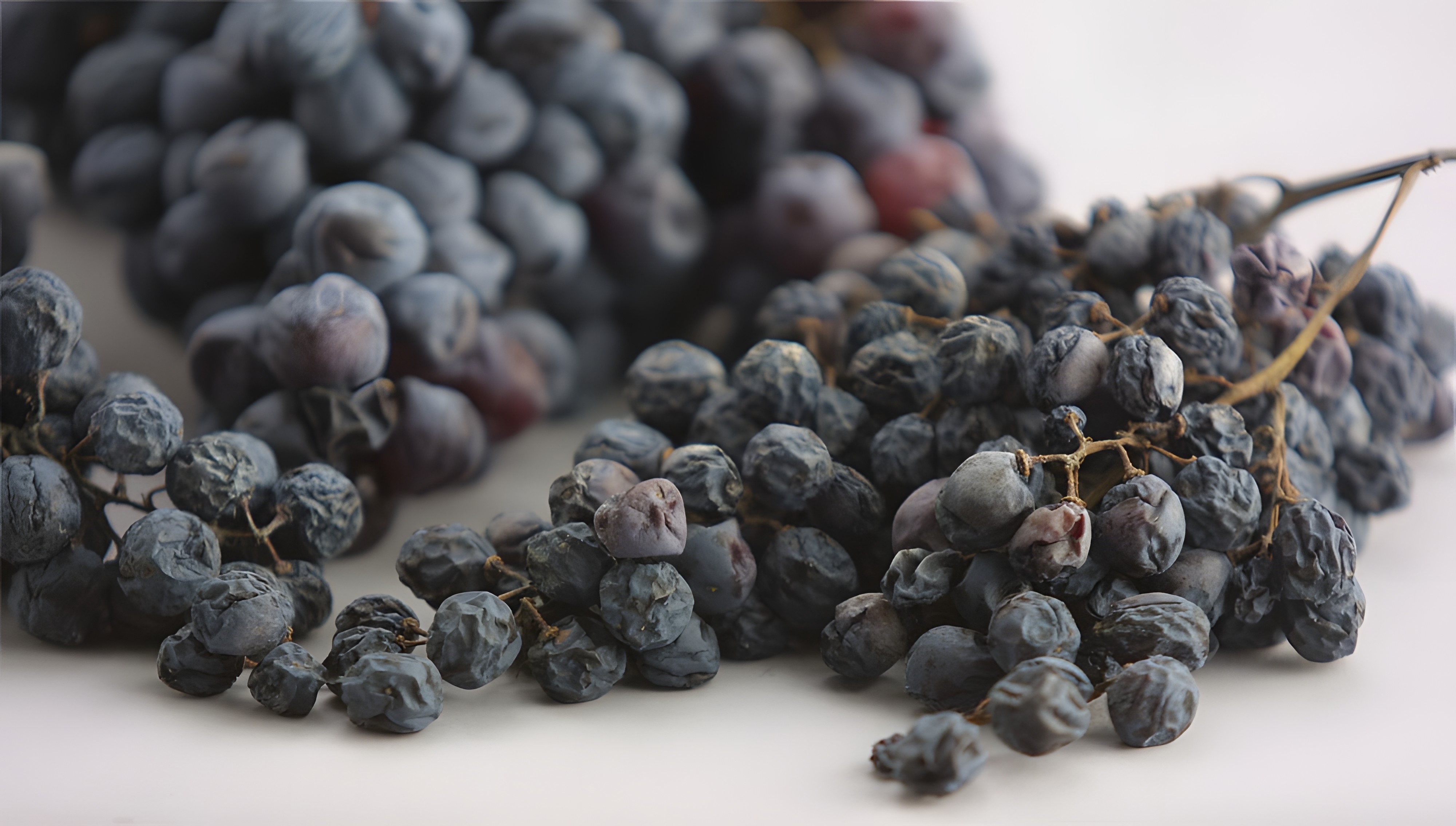 Amarone Della Valpolicella la leyenda del Vino