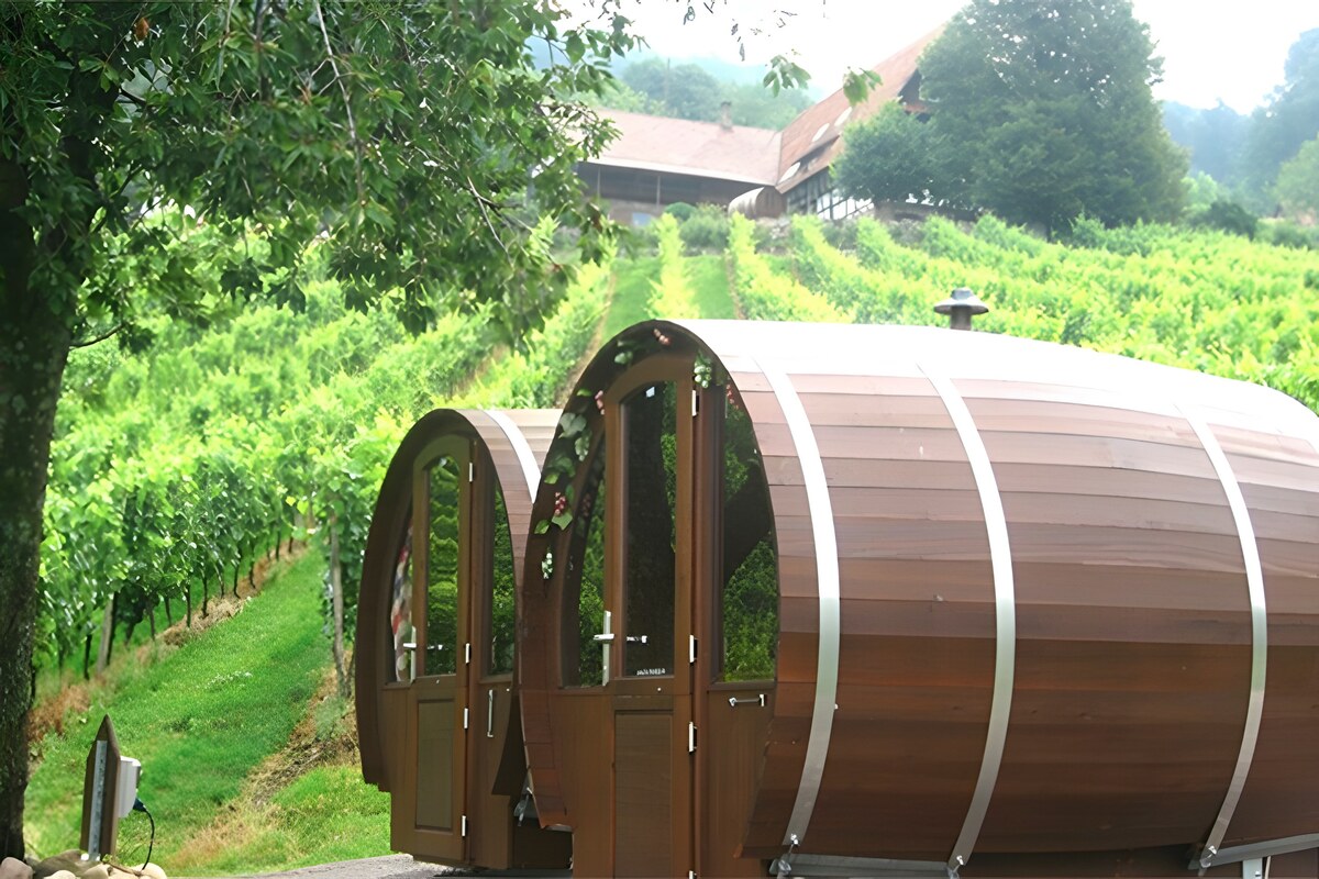Would you like to sleep among the rows of vines?