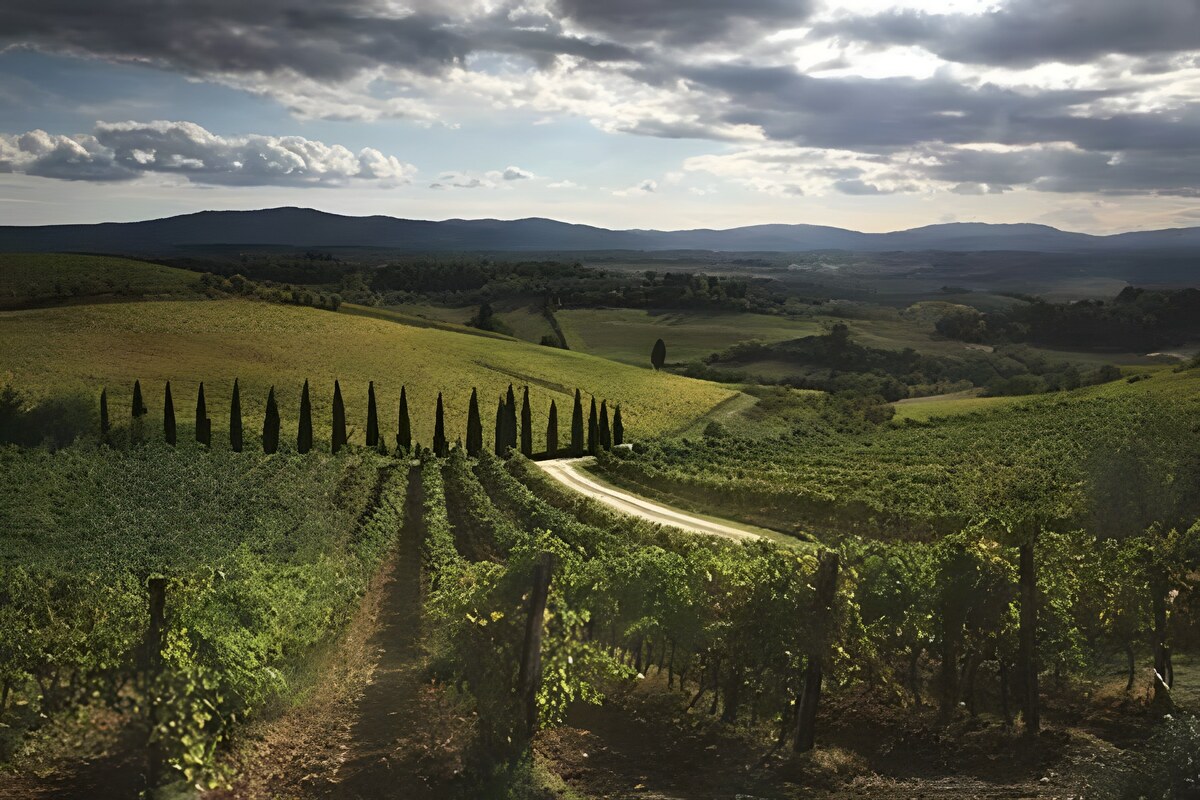 Chianti：探寻一个传奇的足迹