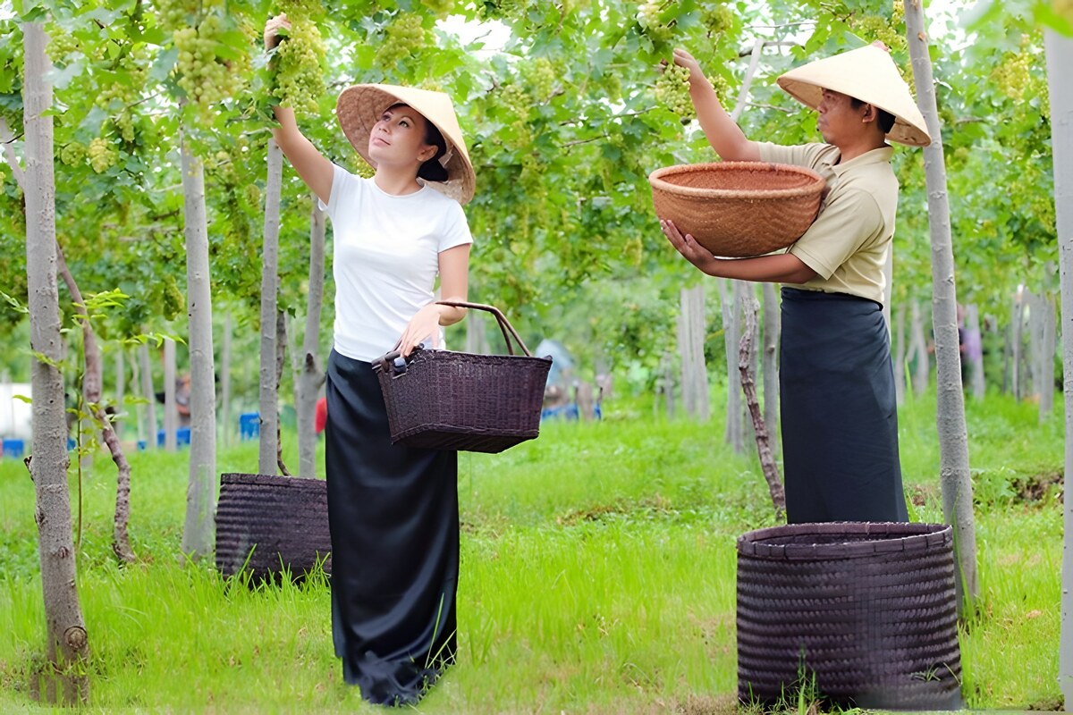 Bali, il vino è di casa