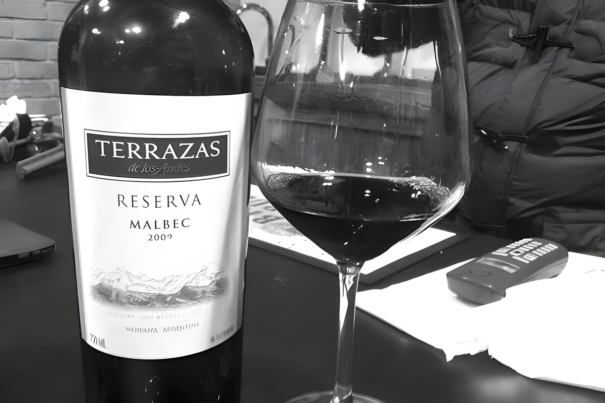 Terrazas Reserva Malbec 2009: a Glass of Argentina
