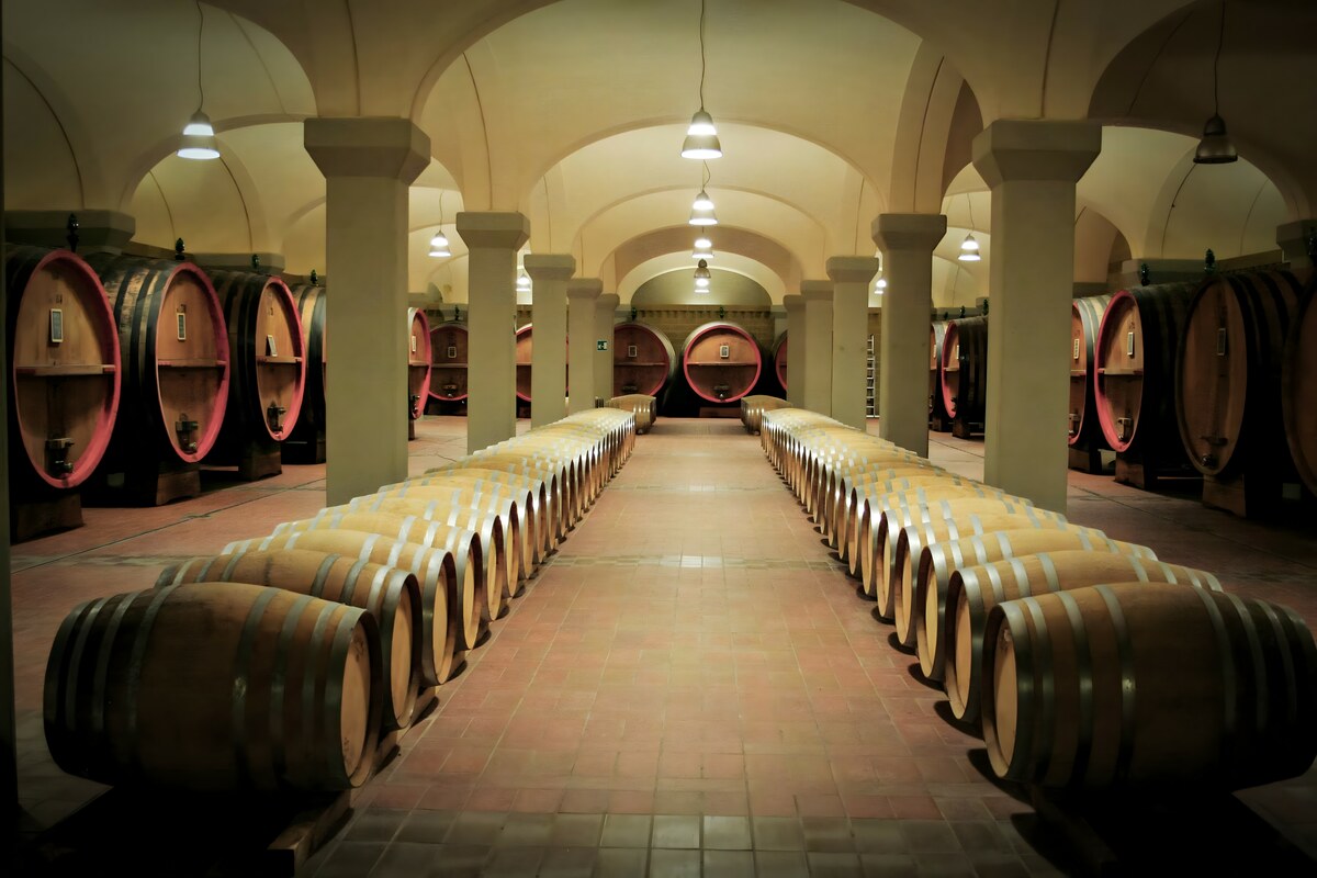 Comparison between Basilico and Feudi San Gregorio