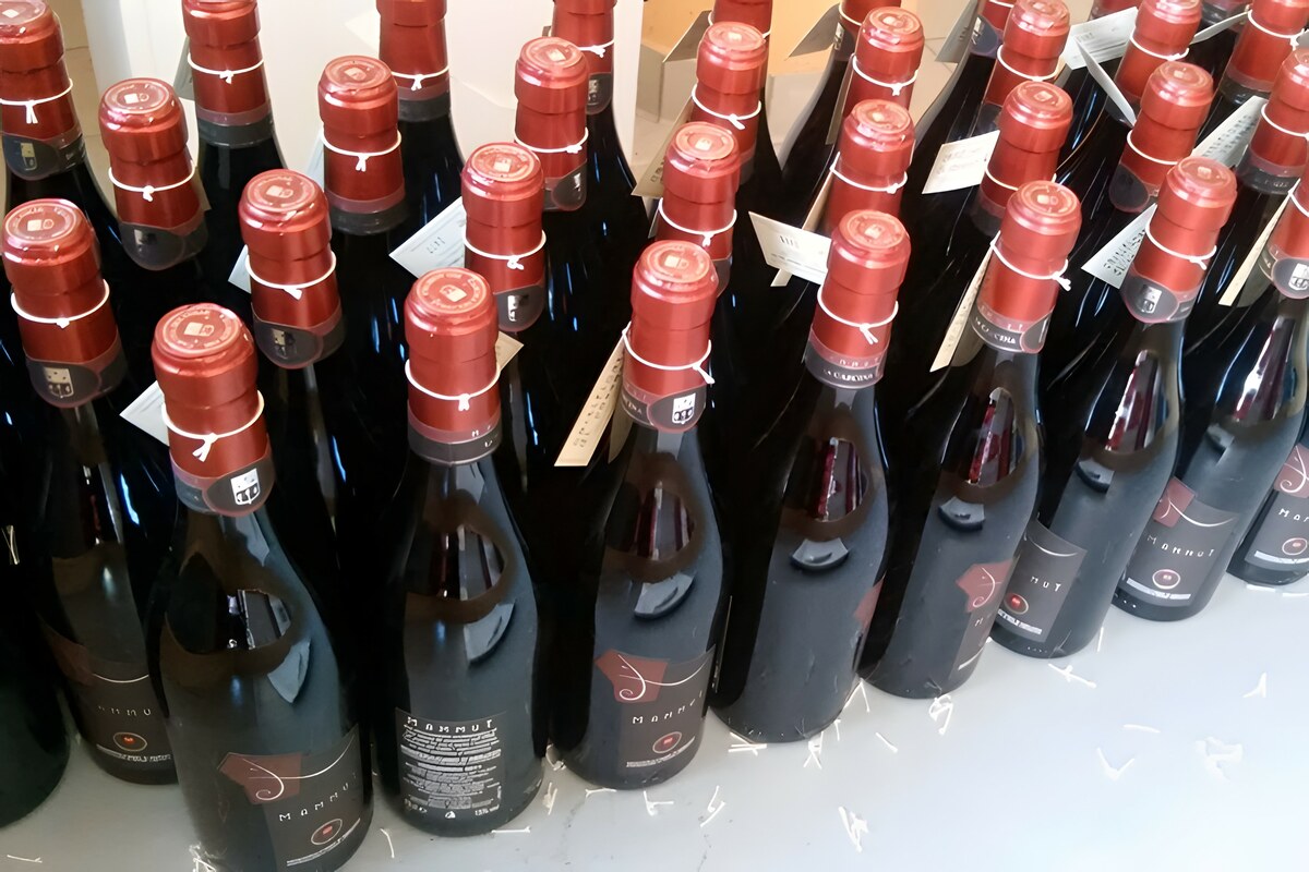 Montepulciano d'Abruzzo Mammut
