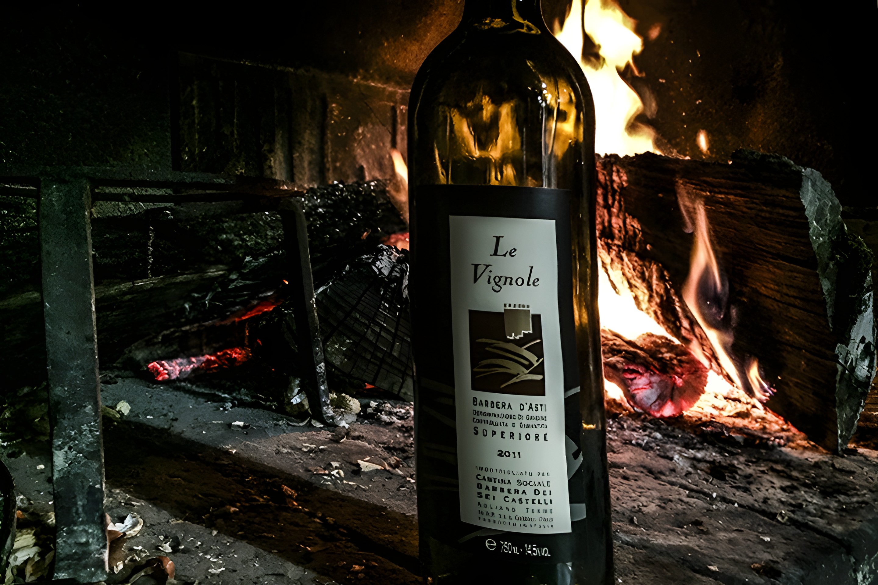Le Vignole Barbera d'Asti DOCG Superiore 2011：誰もが手の届く品質
