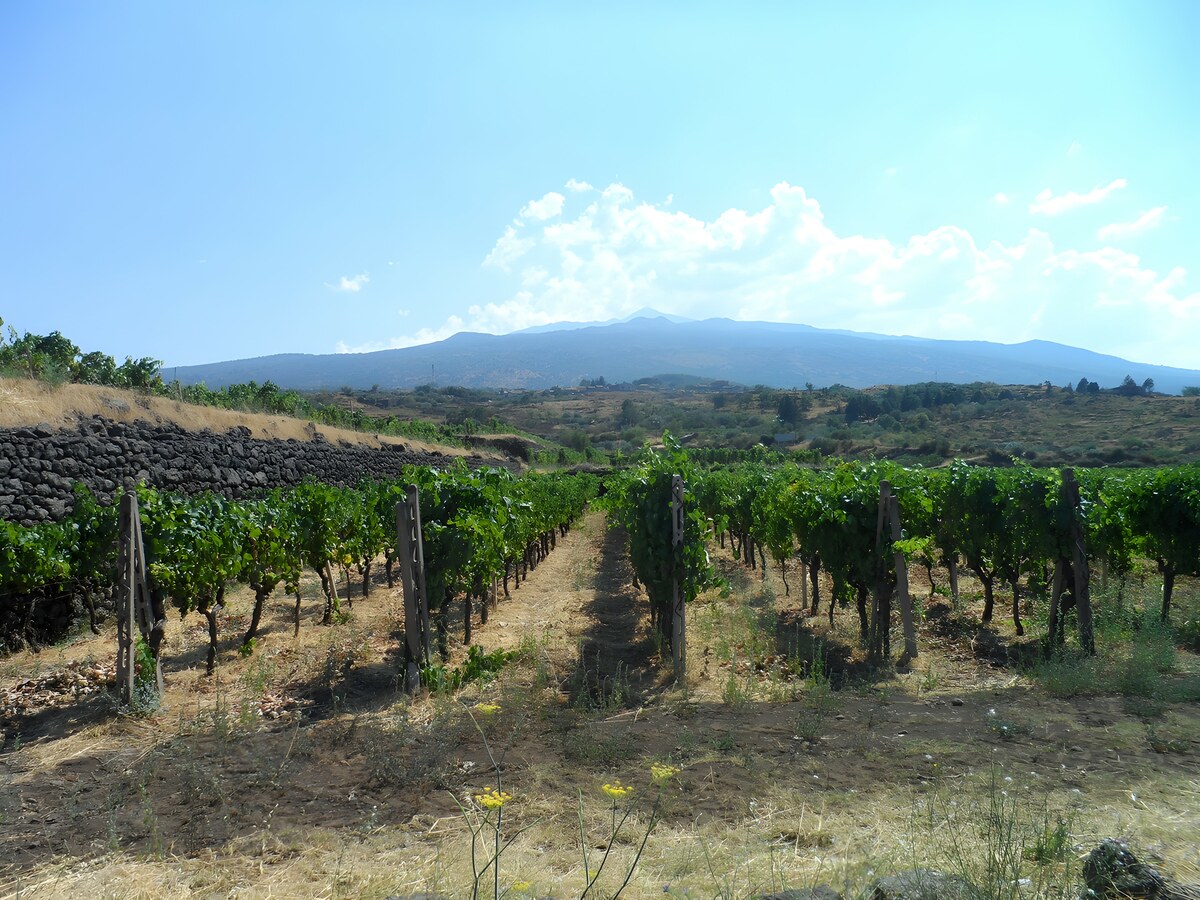 VOYAGE ENTRE LES CONTRADE DE L'ETNA