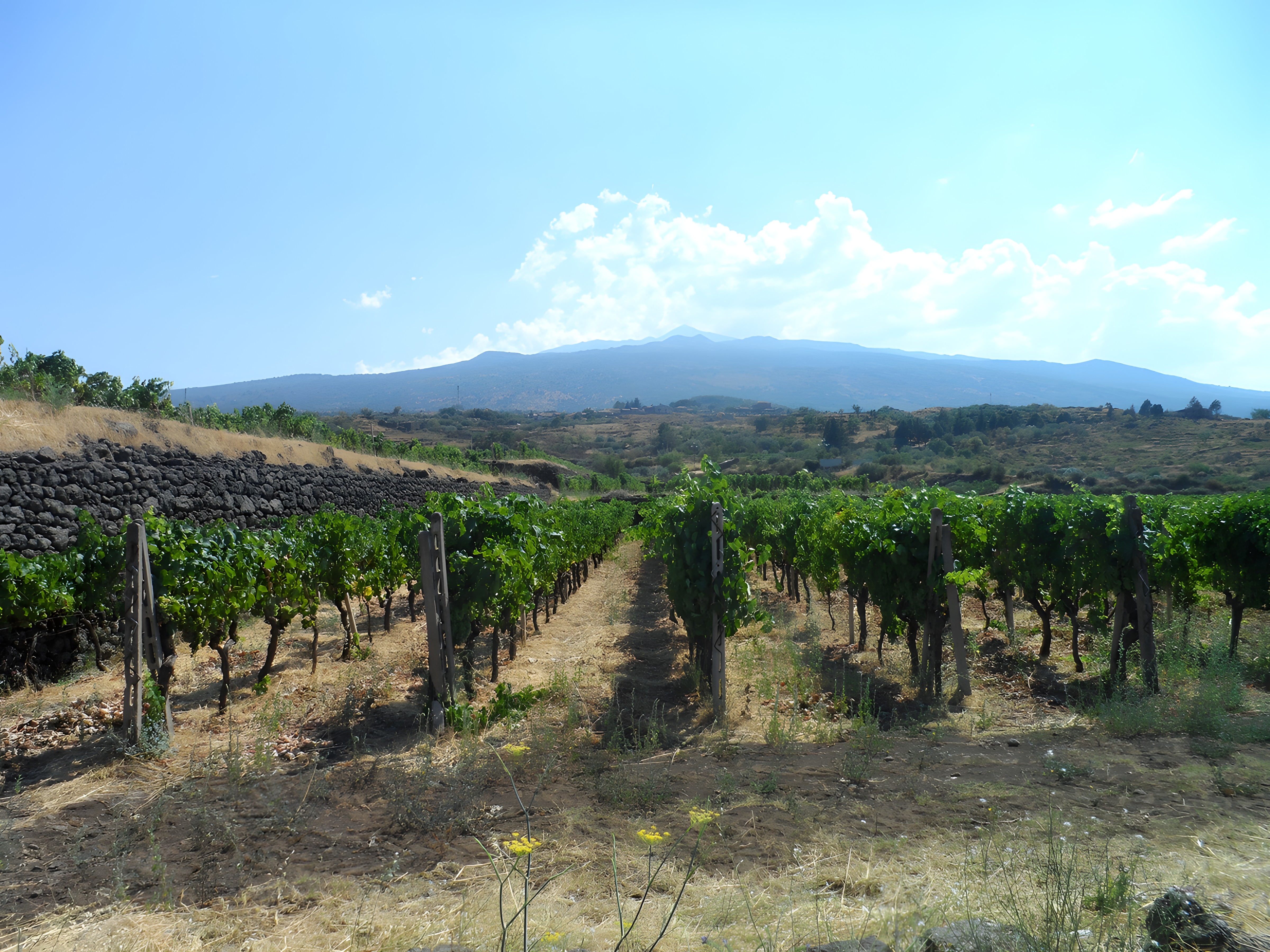 VIAGGIO TRA LE CONTRADE DELL’ETNA