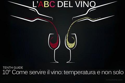 Guida: Come servire il vino, temperatura e non solo