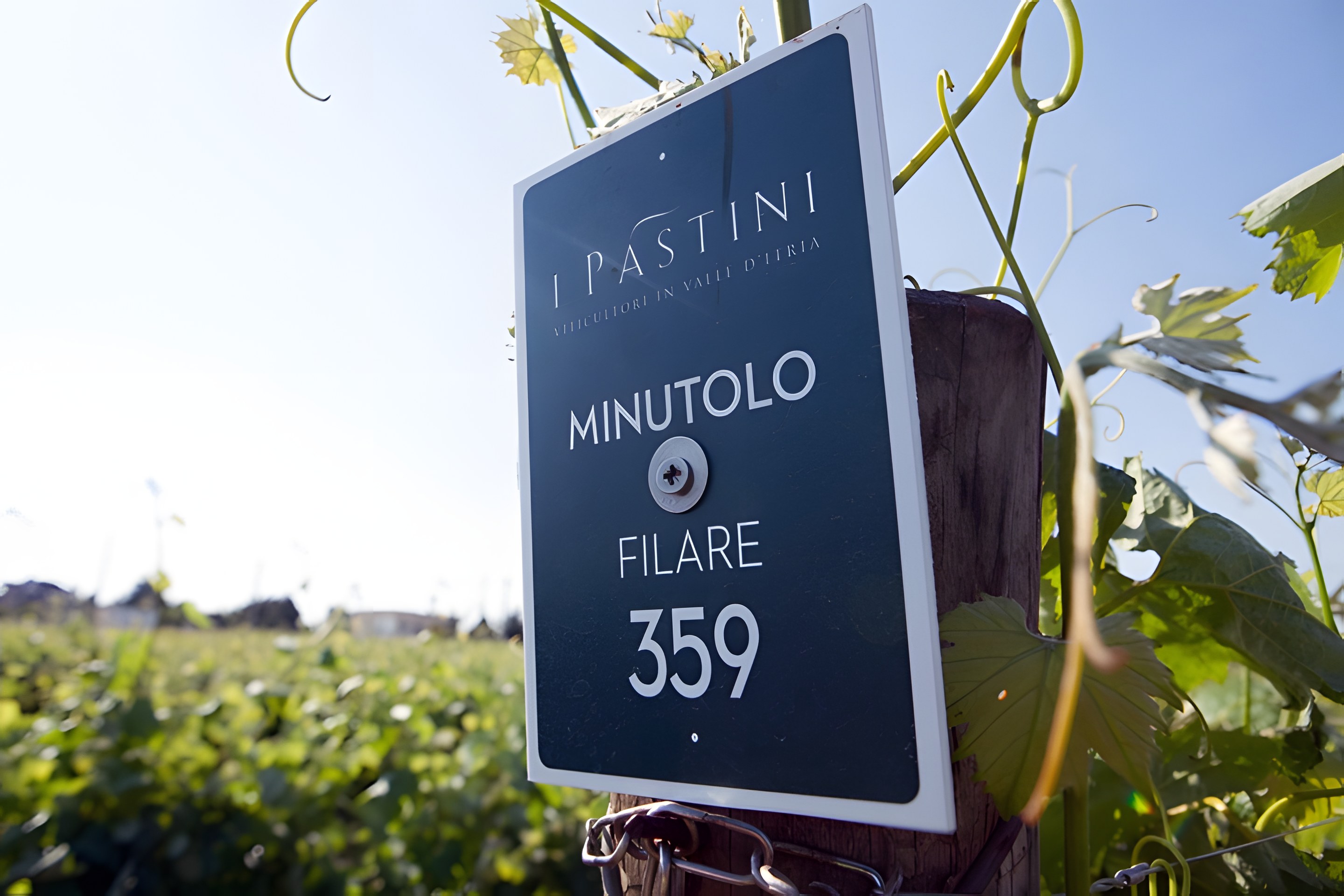 I Pastini : de la Valle d'Itria, les humbles héros du Minutolo