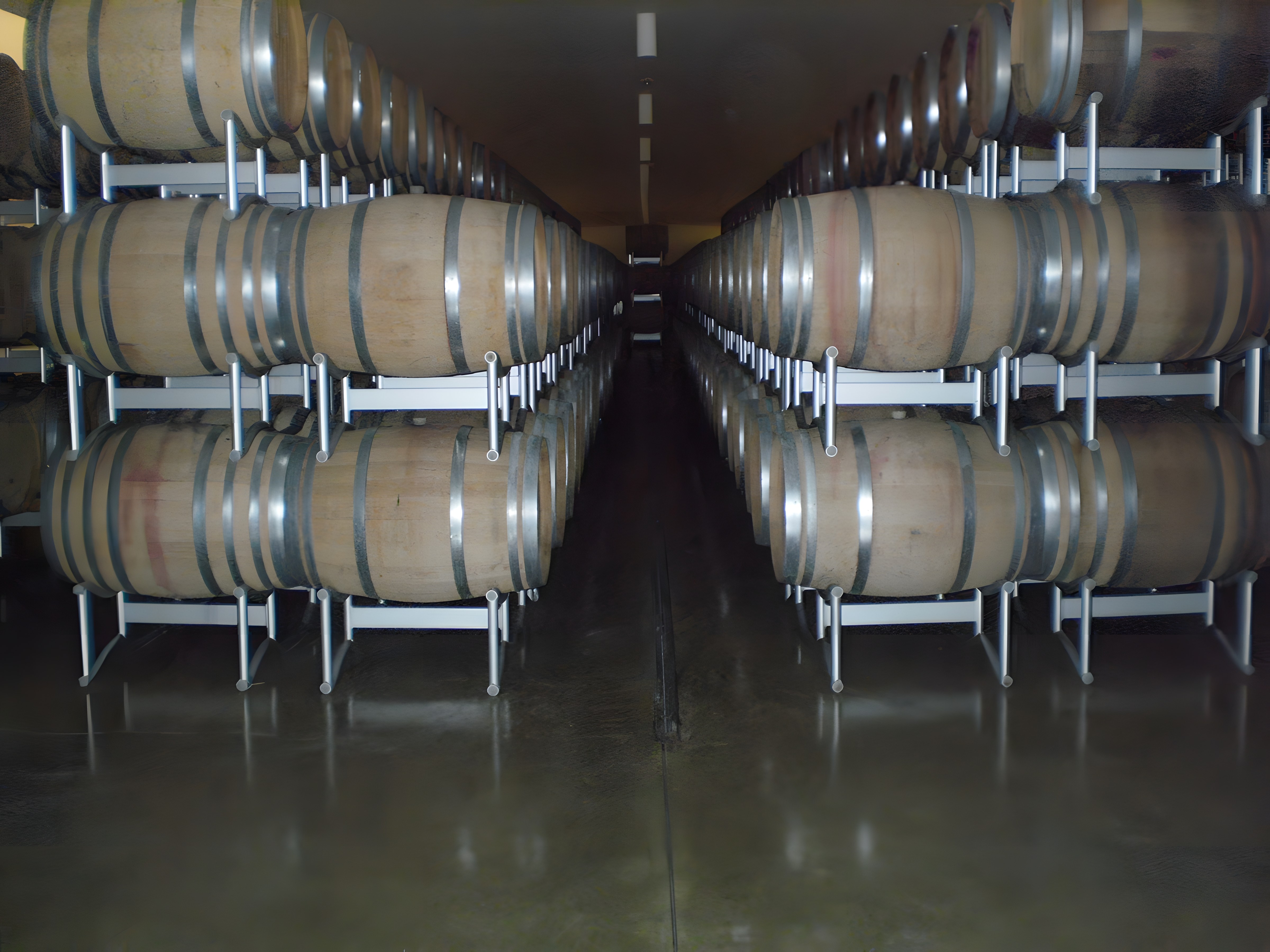 Cantina Cusumano, terroir de Sicilia