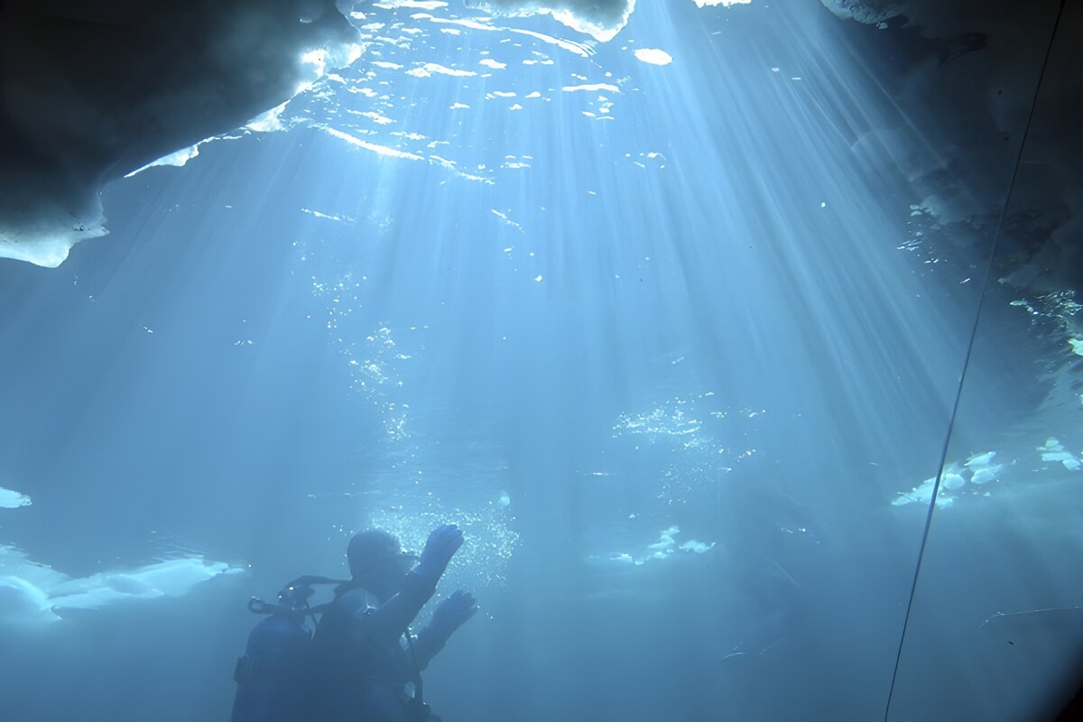 Scopriamo gli Under Sea Wines: un’immersione tra i vini sommersi