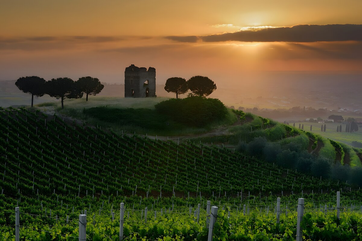 Cata del premiado vino Frascati