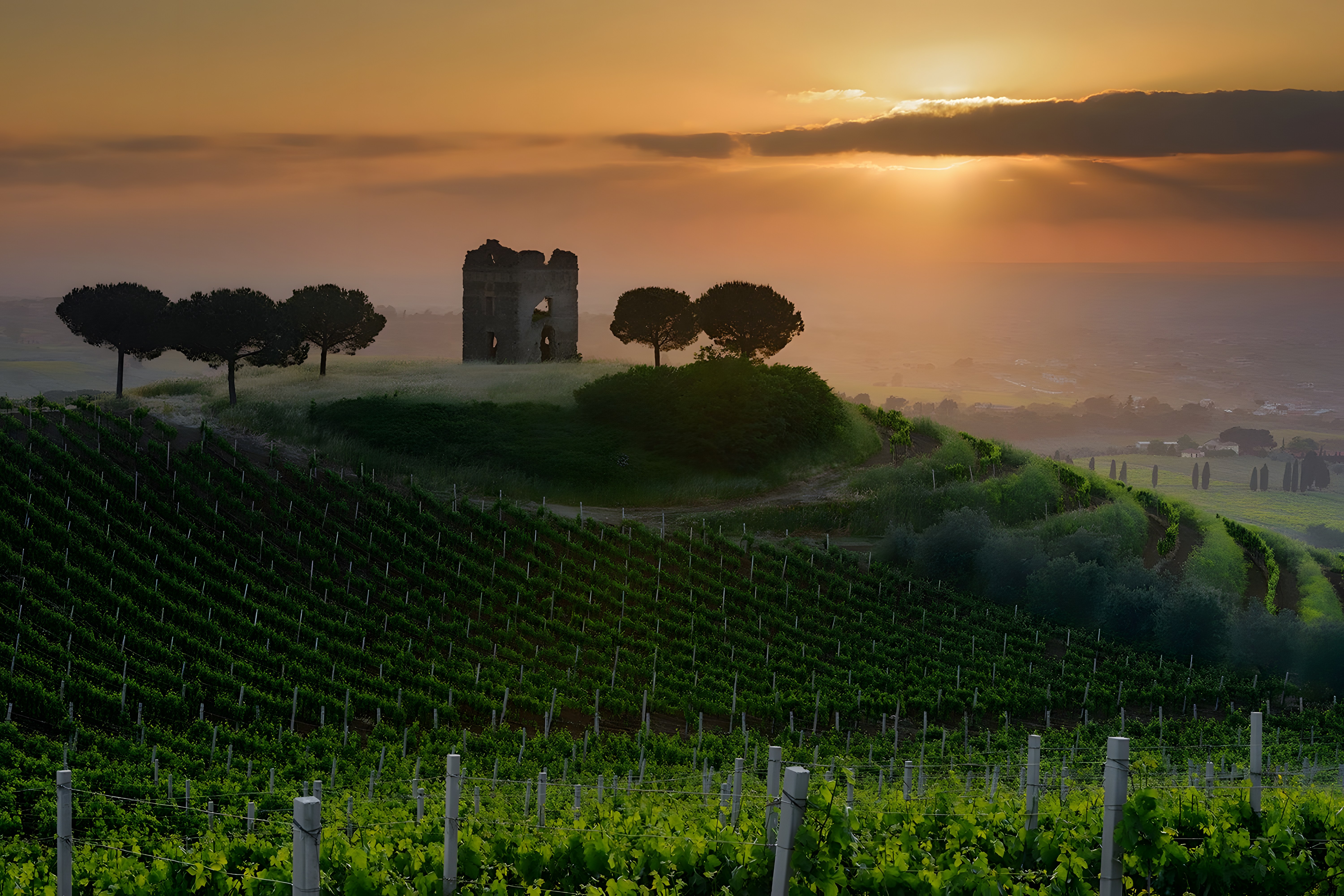 Dégustation du vin primé Frascati