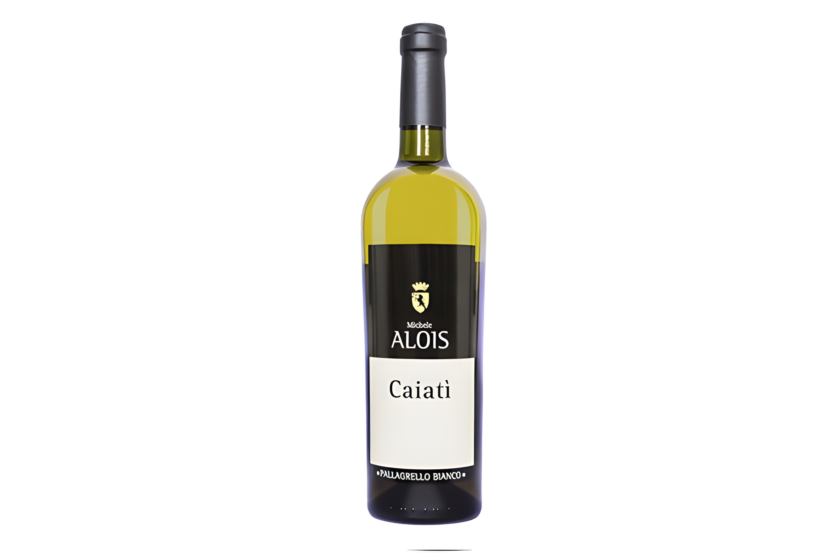 Caiatì 2013, la revanche du Pallagrello et du Re Nasone