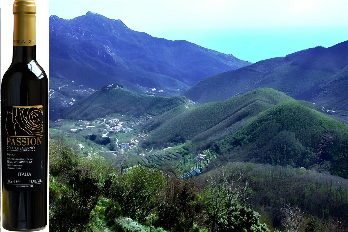 Passion：Cantine Apicella 的珍品