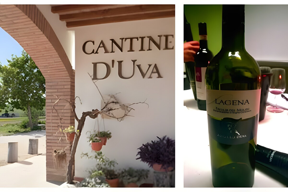 Lagena D'Uva un'excellente tintilla du Molise