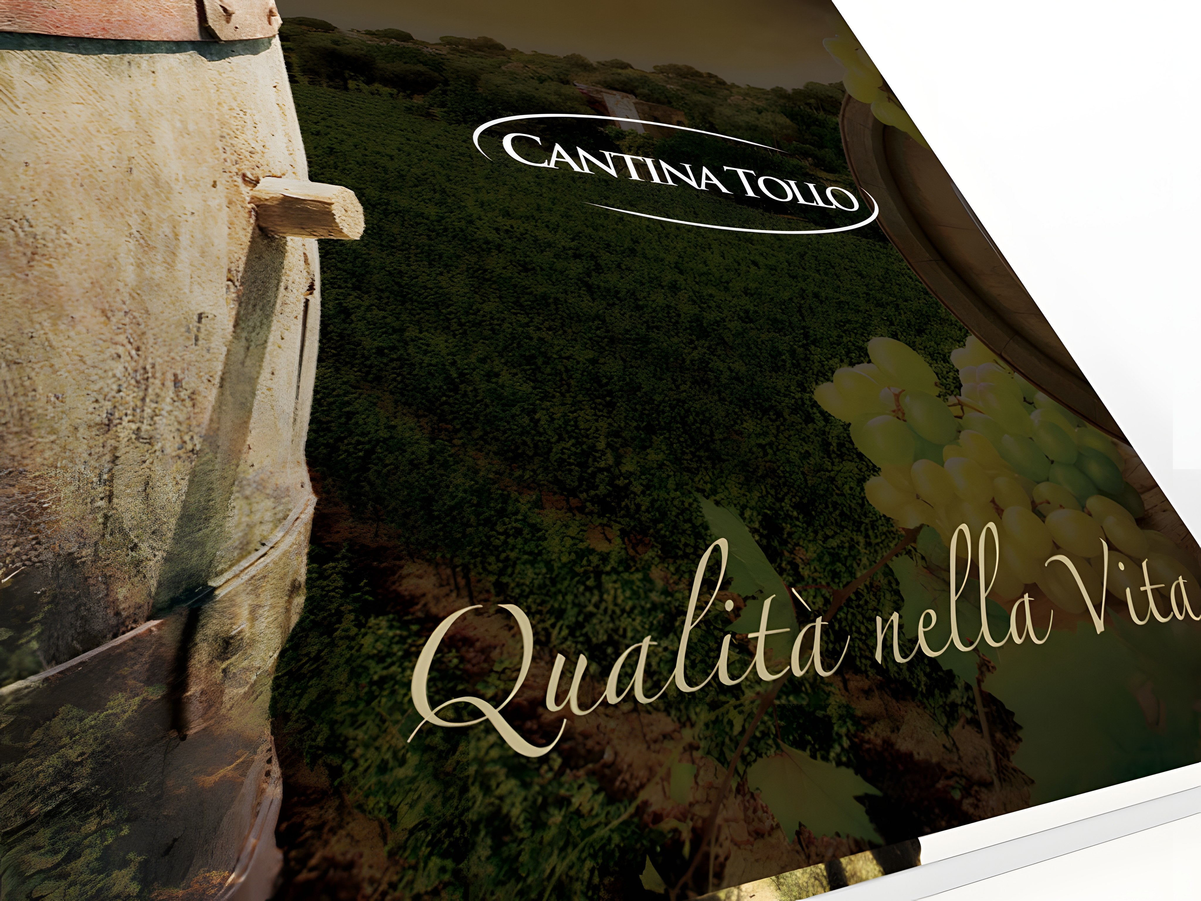 Cantina Tollo: histórica y multipremiada
