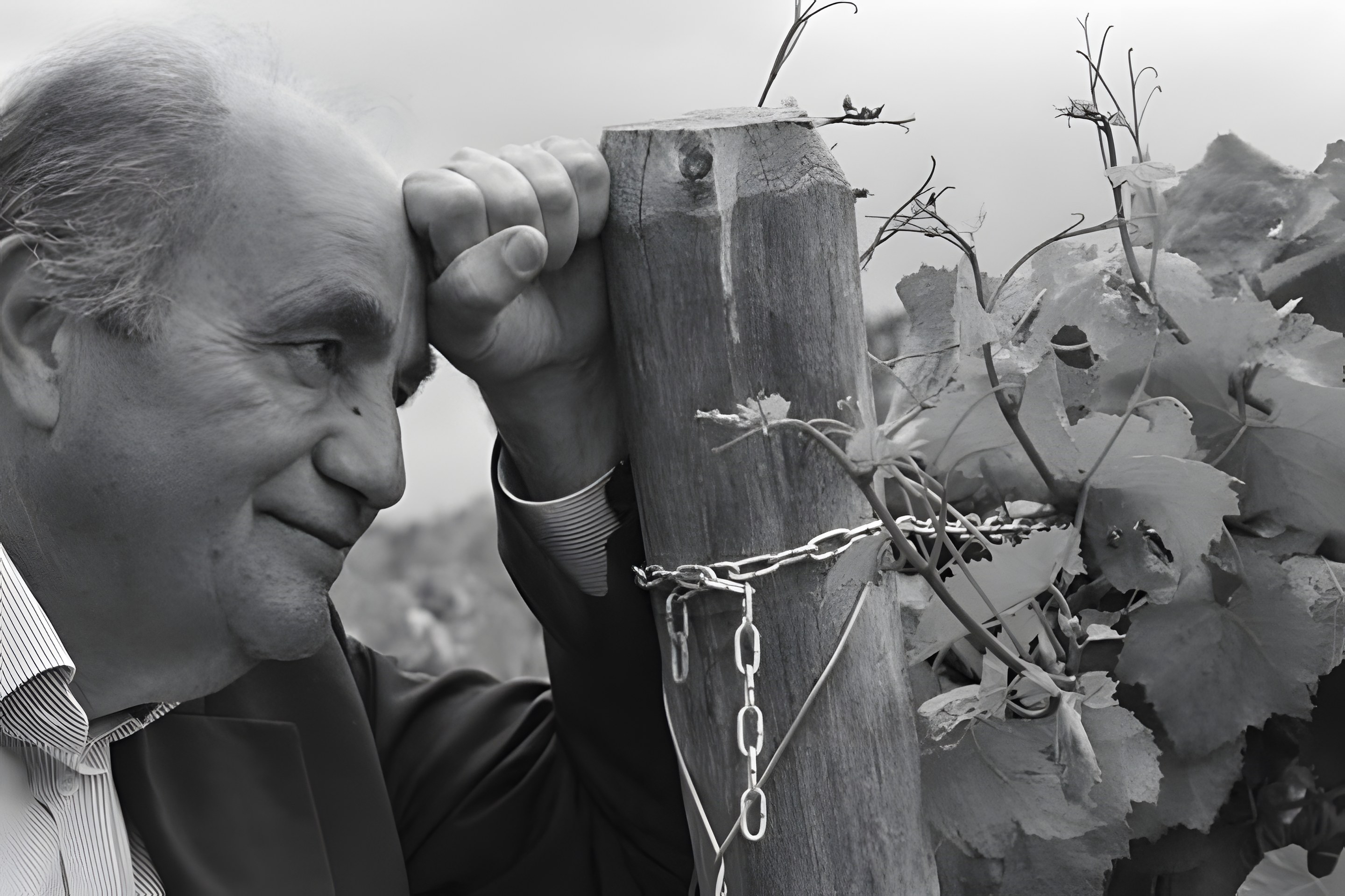 Pino di Stio 2011 : peut-on faire un grand Pinot Nero au sud ?