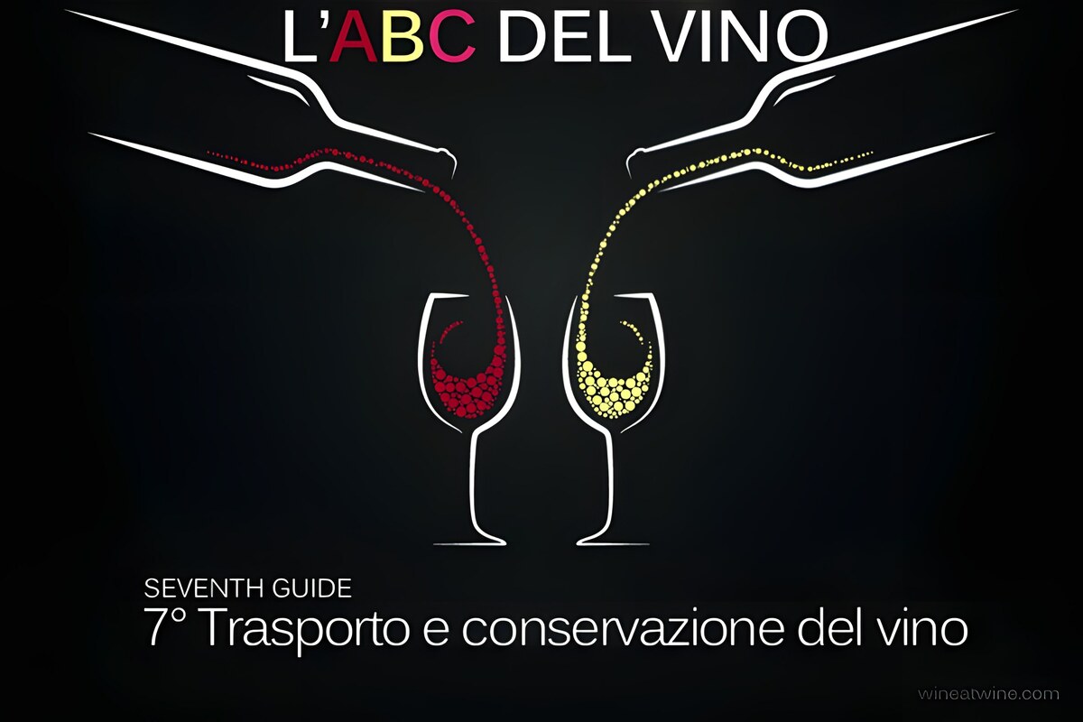Guide: Wine Transport and Storage
