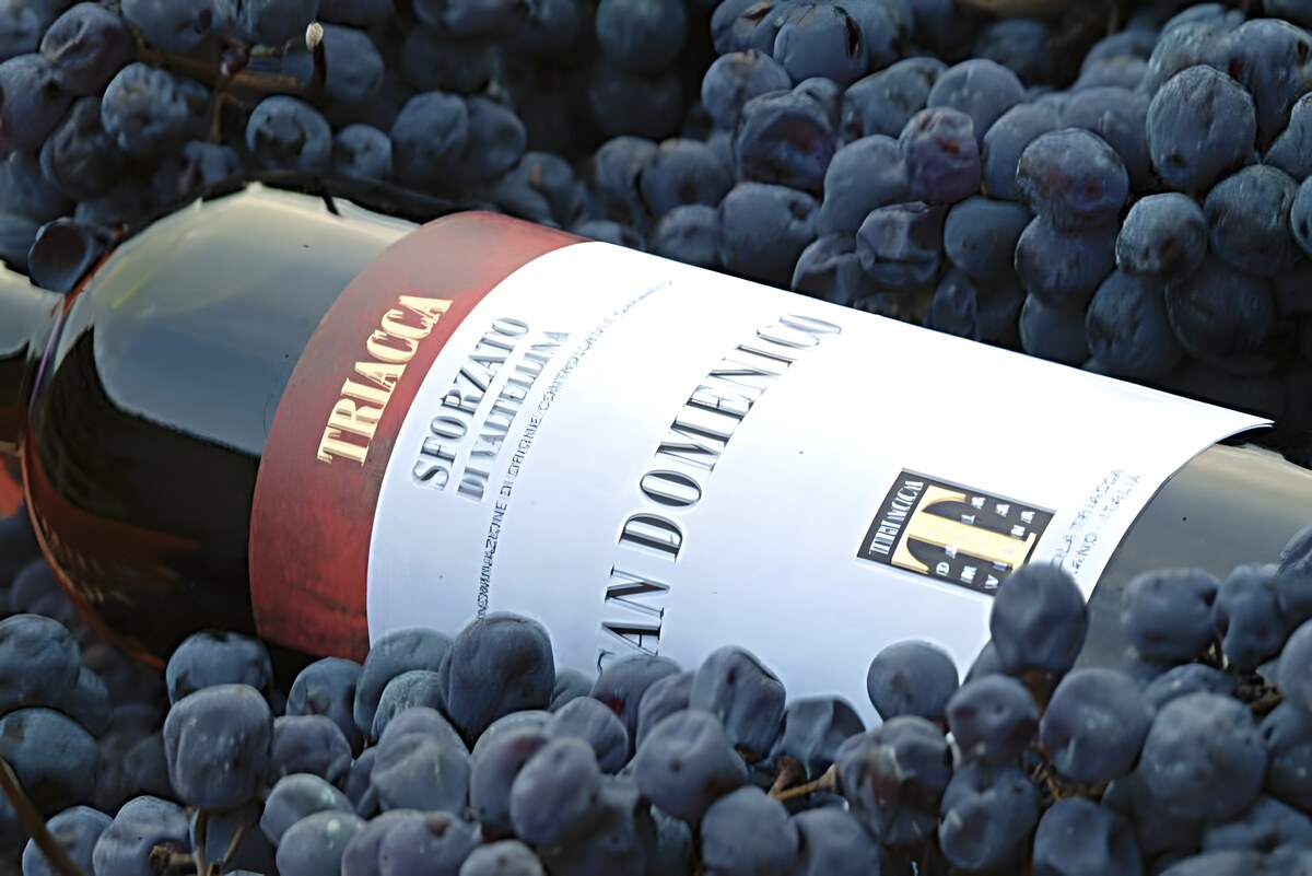 Triacca présente la Chiavennasca, le Nebbiolo de Valtellina
