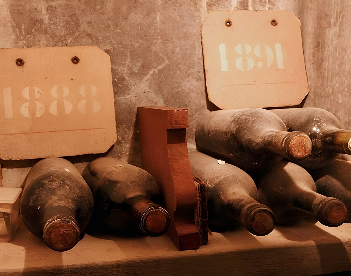The Studies Behind Brunello di Montalcino