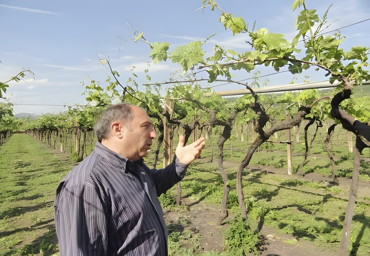 Soave: Il Casale と Terre Lunghe、異なる双子