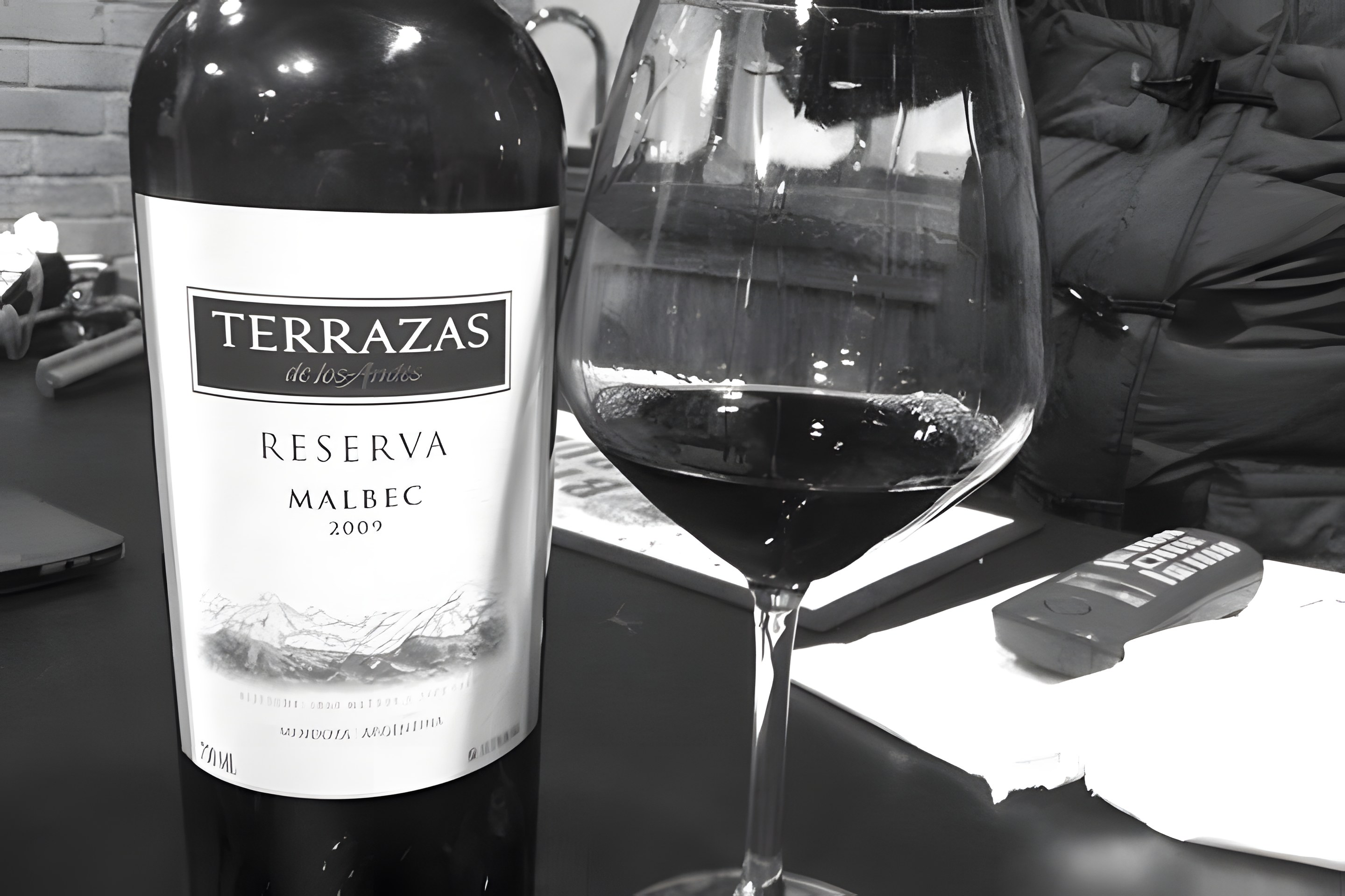 Terrazas Reserva Malbec 2009 : un verre d'Argentine