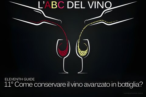 Guida: Come conservare il vino avanzato in bottiglia?