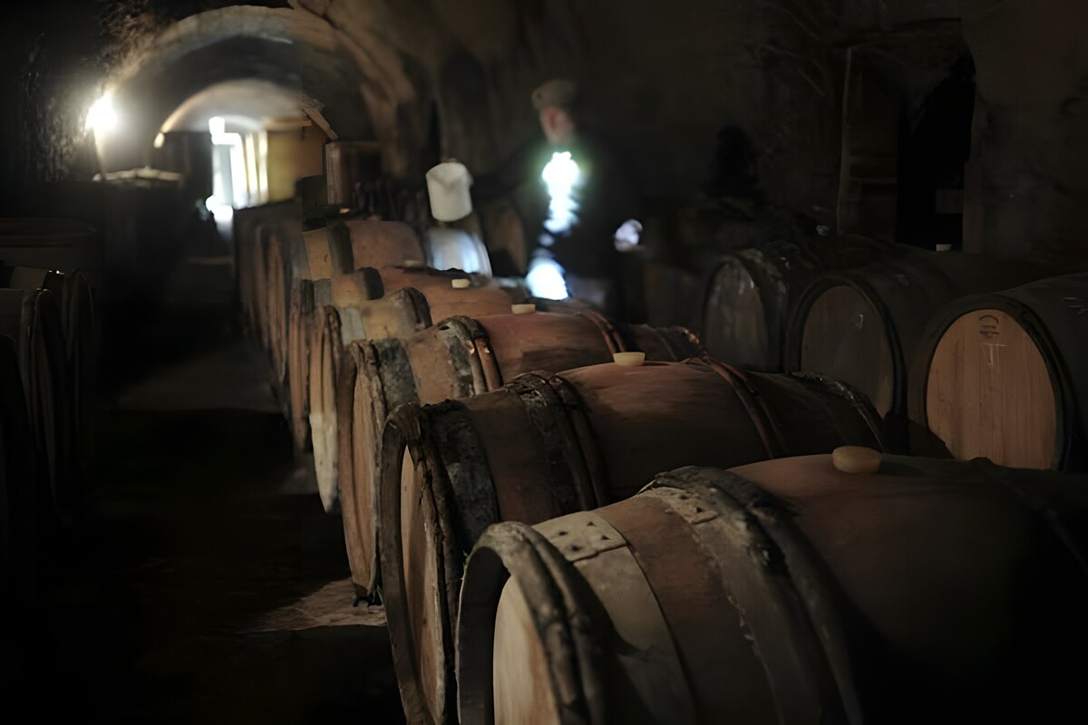 Nocturne di Robinot naturale come il Pineau D'aunis